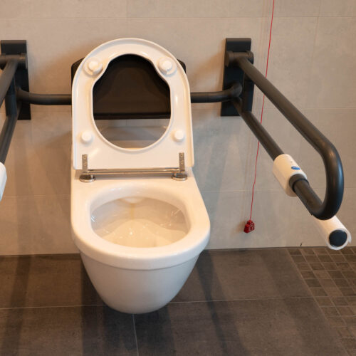 An der Wand hängendes, tiefes WC mit hochgeklappter WC-Brille. Mit Winkelpuffer und durchgehender Scharnierwelle. Armstützen beidseitig.